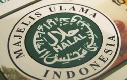 LPPOM MUI: Badan Halal NU Masih Terlalu Dini