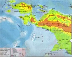  Kronologi Penyerangan yang Tewaskan 8 Anggota TNI di Papua