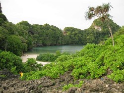Yang Cantik Yang Tersembunyi, Pulau Sempu di Malang