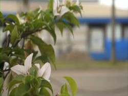 Waterway, Jalur Lain Merajut Asa