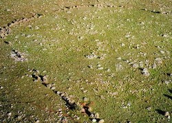 Australia Mengaku Punya Stonehenge