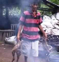 Ribuan Bebek di Situbondo Mati Mendadak