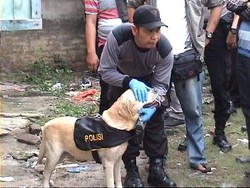 Dendam Jadi Motif Penculikan & Pembunuhan Bocah di Deli Serdang?