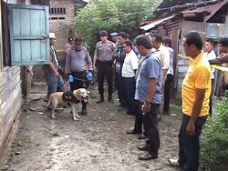 Sergio, Anjing Pelacak Pengungkap Kasus Penculikan Bocah di Deli Serdang