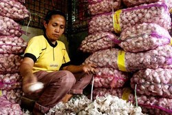 Pedagang Pasar: Anggaran Pertanian Besar Tapi Bawang Putih Saja Impor