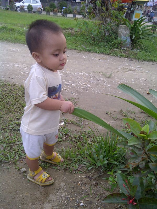 Asyraaf Maulana Al Faisal, 1,9 Tahun, Lelaki