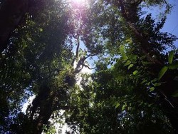 Surveyor Alumni UGM Hilang, Keluarga Minta Perusahaan Bertanggungjawab