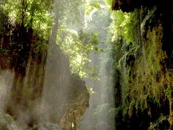 Air Terjun di Green Canyon, Seperti Tempat Mandi Putri Khayangan