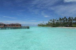 Pulau Maratua, Bawah Lautnya Juara!