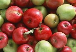 Sarapan Sebutir Apel Untuk Tubuh Lebih Ramping