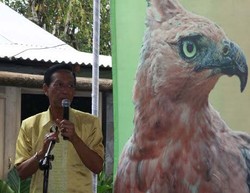 Seekor Elang Jawa Dilepasliarkan di Lereng Gunung Merapi