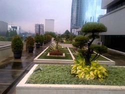Ada Taman Cantik Tersembunyi di Gedung KPK