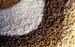 Demi Tubuh Sehat dan Ramping, Konsumsilah Beras Istimewa Ini!