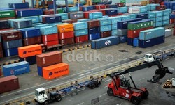 Selama 3 Tahun Terakhir, Penyelundupan Trenggiling Masih Marak