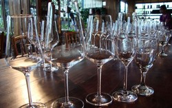 Memilih Gelas Wine yang Tepat