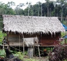 Program Bedah Rumah Miskin, Djan Faridz Sediakan Rp 7,5 Juta/Rumah