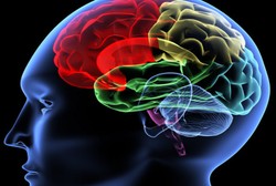 Salah Kaprah Cuci Otak Penangkal Stroke di Mata Dokter Saraf