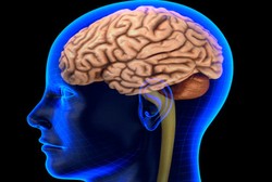 Cuci Otak Sembarangan Risikonya Nyawa Bisa Melayang