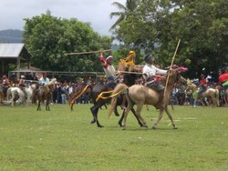 Pasola, Saatnya Perang Kuda Ala Pulau Sumba di NTT