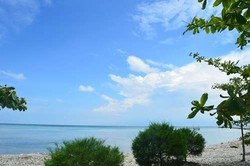 Hatiku Tertinggal di Pulau Pari