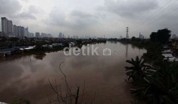 Pria Penuh Luka Tusuk Ditemukan Tewas Mengambang di Sungai Ciliwung