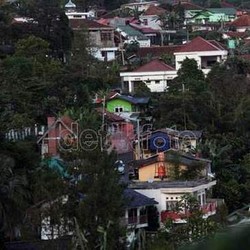 Ahok Minta Pengusaha Beli Vila Liar di Puncak untuk Dibongkar