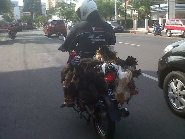 Boncengan Ramai-ramai