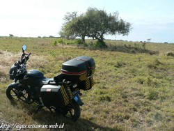 Baluran, Miniatur Afrika di Jawa Timur