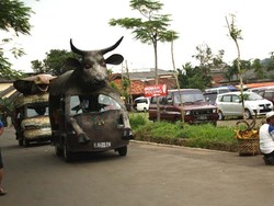 Naik Ular Raksasa sampai Banteng di Taman Wisata Matahari