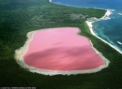 Australia Punya Danau Milkshake Stroberi!