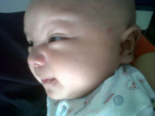 Ardiandi Fahrezi Yusuf, 8 Bulan, Lelaki