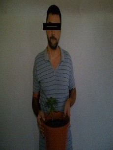 Impor Biji Ganja dari Inggris, WN Ukraina Diciduk BNN Jabar