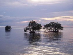 Jangan Tunda Liburan ke Pulau Tunda, Banten