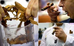 Para Chef Memasak dengan Tembakau di Cuba Cigar Festival