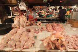 Pengusaha: Orang RI Konsumsi Ayam 7 Kg/Tahun, Malaysia 40 Kg/Tahun