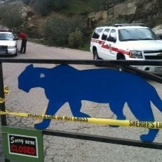 Seorang Pawang Tewas Diterkam Singa di Penangkaran AS