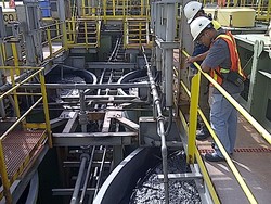 Pekerja Asing di Newmont Hanya 1%