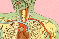 Tubuh Manusia Kini Sudah Dibikin Peta dalam Bentuk Google Map