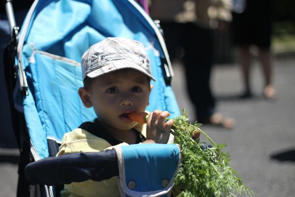 Ahmad Habil Luthfan, 2,10 Tahun, Lelaki