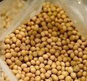 Zaman Pak Harto RI Produksi 2 Juta Ton Kedelai, Sekarang Cuma 800 Ribu Ton 