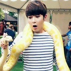 Siwon dan Ryeowook Main Ular di Taman Hotel