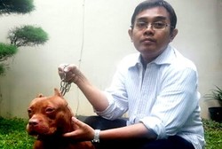 Suka-duka dr Bhimantoro, SpOG Merawat Belasan Anak Anjing