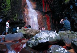 Curug Cigamea, Tempat Asyik Basah-basahan di Bogor