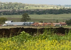 Tak Ingin Delay, Orang Kaya Australia Buat Bandara Sendiri