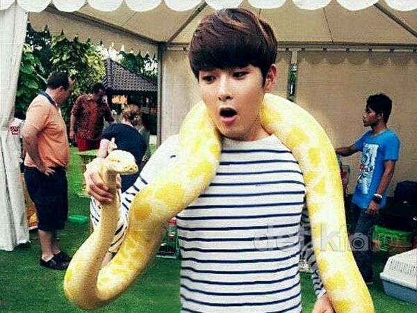 Saat Ryeowook & Siwon Super Junior Main Ular di Jakarta