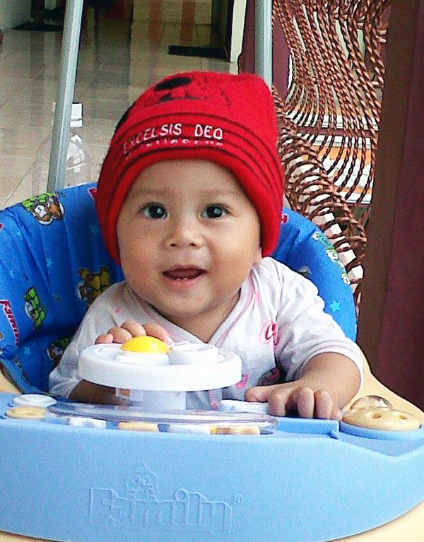 Excelsis Deo Bristlecone Kemur, 1,2 Tahun, Lelaki