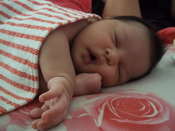Flos Carmeli Putri Sulistyo, 9 Bulan, Perempuan