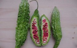 Rasa Pahit Pare Berkhasiat Turunkan Berat Badan