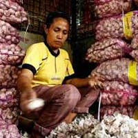 Dokumen Belum Lengkap, 200 Ribu Ton Bawang Putih Tertahan di Perak
