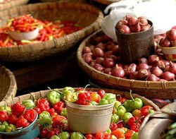 Selain Pemakaman Unik, Tana Toraja Juga Punya Sisi Beda